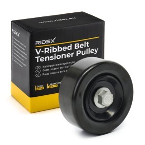 Acquista Galoppino guidacinghia, cinghia Poly-V da RIDEX 312D0121 a buon mercato per soli 23,93 €
