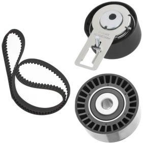 Acquista Kit cinghia di distribuzione da RIDEX 307T0293 a buon mercato per soli 87,20 €