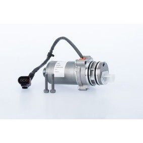 Pumpe, Lamellenkupplung-Allradantrieb DS2010677 von BorgWarner günstig für 222,73 € online kaufen