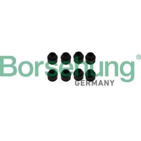 Ventilschaftdichtung B19239 von Borsehung günstig für 7,61 € online kaufen