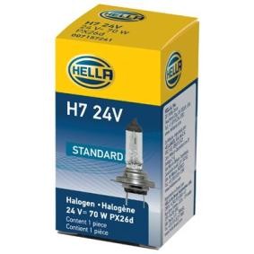 Achetez des Ampoule, projecteur longue portée HELLA 8GH 178 555-251 à prix pour 4,80 €