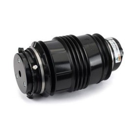 Luftfeder, Fahrwerk A-3313 von Arnott günstig für 486,65 € online kaufen
