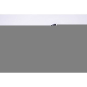 Stoßdämpfer 39GW004 von RED-LINE günstig für 71,12 € online kaufen