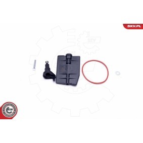 Compre Elemento de ajuste, borboletas (colector de admissão) da ESEN SKV 96SKV043 a um preço baixo por 24,13 €