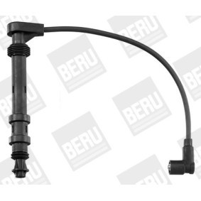 Acquista Spazzola rotante spinterogeno da BERU EVL0861 a buon mercato per soli 18,76 €