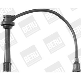 Acquista Spazzola rotante spinterogeno da BERU EVL1051 a buon mercato per soli 12,84 €