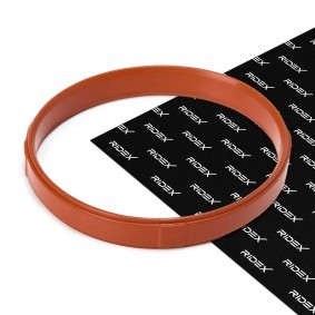 Comprar Junta, colector de admisión de RIDEX 42G0145 a bajo precio de 4,45 €