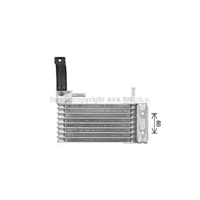 Acquista Radiatore olio, Cambio automatico da PRASCO KA3317 a buon mercato per soli 204,95 €