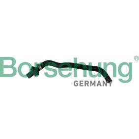 Comprar Tubo flexible, ventilación bloque motor de Borsehung B11970 a bajo precio de 15,98 €