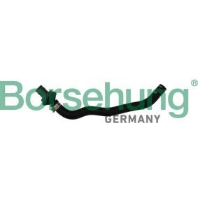 Comprar Tubo flexible, ventilación bloque motor de Borsehung B11971 a bajo precio de 14,58 €