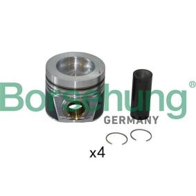 Kolben B19302 von Borsehung günstig für 308,54 € online kaufen