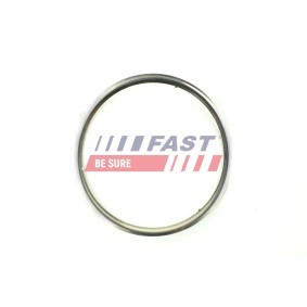 Drahtbügel, Abgasanlage FT84600 von FAST günstig für 14,09 € online kaufen