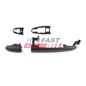 Türgriff FT94590 von FAST günstig für 17,78 € online kaufen