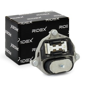 Acquista Supporto, Cambio da RIDEX 249M0037 a buon mercato per soli 32,76 €
