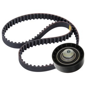 Achetez des Kit de distribution RIDEX 307T0376 à prix pour 40,99 €