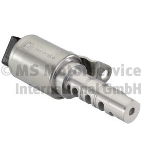 Comprar Válvula control, ajuste de levas de PIERBURG 7.06117.55.0 a bajo precio de 60,99 €
