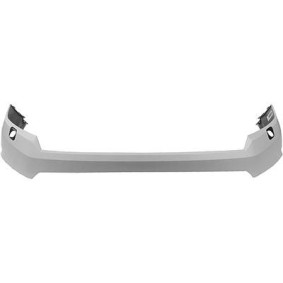 Acquista Mostrina, Paraurti da DIEDERICHS 2282054 a buon mercato per soli 174,68 €