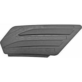 Acquista Mostrina, Paraurti da DIEDERICHS 2282063 a buon mercato per soli 26,98 €