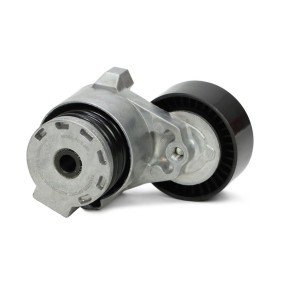 Compre Rolo tensor, correia trapezoidal estriada da MASTER-SPORT N36055-PCS-MS a um preço baixo por 14,32 €