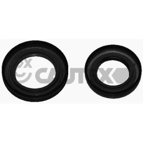 Wellendichtring, Differential 751925 von CAUTEX günstig für 15,32 € online kaufen