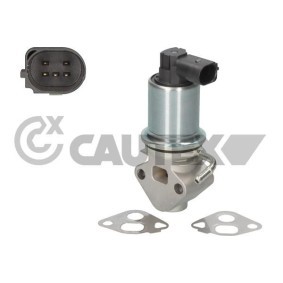 Comprar Válvula, AGR control de gases de escape de CAUTEX 764462 a bajo precio de 226,55 €