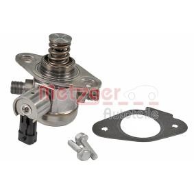 Comprar Bomba inyectora de METZGER 2250440 a bajo precio de 248,76 €