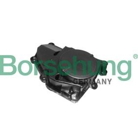 Comprar Separador de aceite, aireación cárter aceite de Borsehung B11918 a bajo precio de 33,01 €