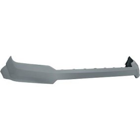 Acquista Mostrina, Paraurti da DIEDERICHS 2282153 a buon mercato per soli 116,28 €