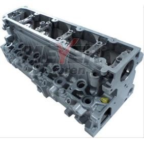 Zylinderkopf 083034790 von MEYER MOTOREN günstig für 1085,39 € online kaufen