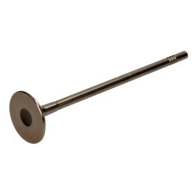 Auslaßventil PFIA139-A-0-N von AMP günstig für 11,86 € online kaufen