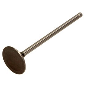 Compre Válvula de drenagem da AMP PDAE002-A-0-0 a um preço baixo por 13,14 €