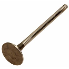 Compre Válvula de drenagem da AMP PCHE008-A-0-D a um preço baixo por 11,47 €