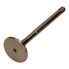 Auslaßventil PSEA011-A-0-N von AMP günstig für 14,86 € online kaufen