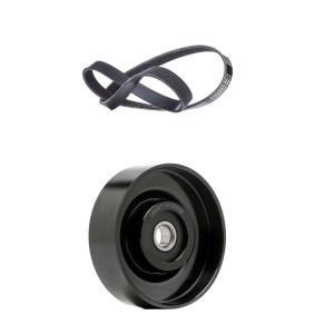 Comprar Juego de correas trapeciales poli V de RIDEX 542R0819 a bajo precio de 36,49 €