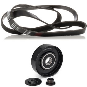Comprar Juego de correas trapeciales poli V de RIDEX 542R0830 a bajo precio de 52,07 €