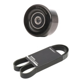 Comprar Juego de correas trapeciales poli V de RIDEX 542R0843 a bajo precio de 36,58 €