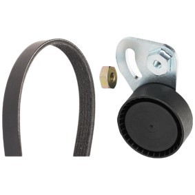 Keilrippenriemensatz 542R1009 von RIDEX günstig für 28,90 € online kaufen