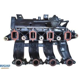 Stutzen, Ansaugkrümmer BIM17018 von BUGIAD günstig für 191,85 € online kaufen