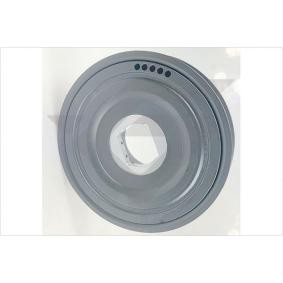 Acquista Puleggia cinghia albero a gomiti da HUTCHINSON DP118 a buon mercato per soli 156,14 €
