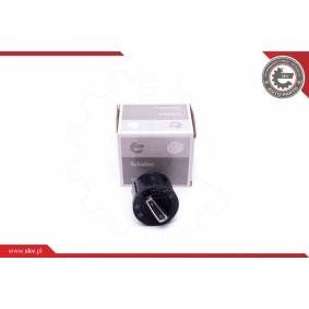 Compre Interruptor, luz principal da ESEN SKV 36SKV035 a um preço baixo por 26,18 €