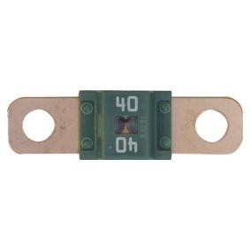 Sicherung 17131 von RESTAGRAF günstig für 14,27 € online kaufen