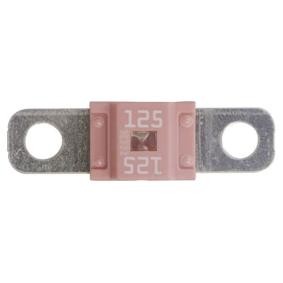 Sicherungskasten 225085 von RESTAGRAF günstig für 10,78 € online kaufen