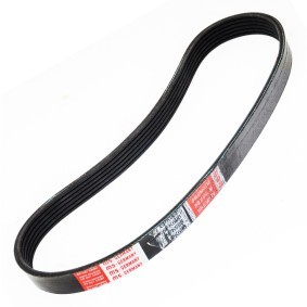 Comprar Correa trapecial poli V de MASTER-SPORT 6PK690-PCS-MS a bajo precio de 8,06 €
