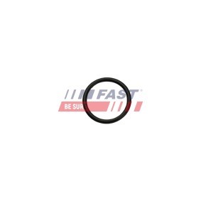 Acquista Collettore di aspirazione da FAST FT50404 a buon mercato per soli 168,45 €