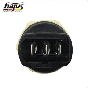 Kühlmittelflansch 1211012 von hajus Autoteile günstig für 3,98 € online kaufen