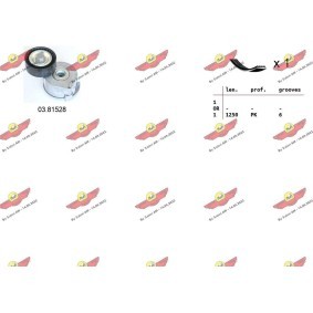 Keilrippenriemensatz 06.0137 von AUTOKIT günstig für 112,39 € online kaufen