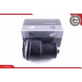 Acquista Molla pneumatica da ESEN SKV 58SKV022 a buon mercato per soli 113,40 €