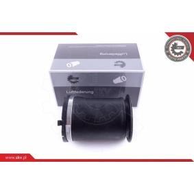 Acquista Molla pneumatica da ESEN SKV 58SKV024 a buon mercato per soli 163,03 €