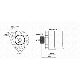 Kühler, Motorkühlung 350213114100 von MAGNETI MARELLI günstig für 188,79 € online kaufen