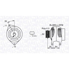 Kühler, Motorkühlung 350213802000 von MAGNETI MARELLI günstig für 157,57 € online kaufen